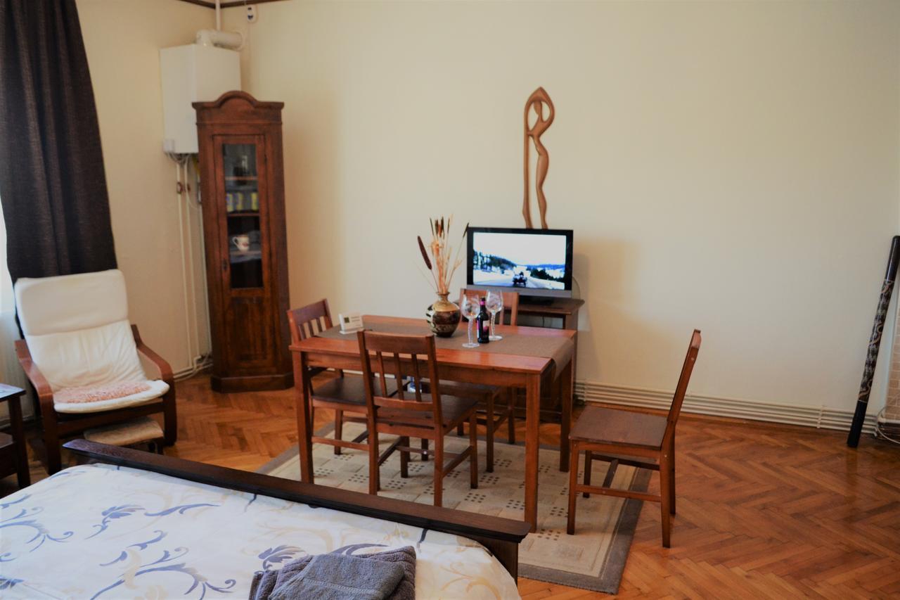 Studio Brasov Appartement Buitenkant foto